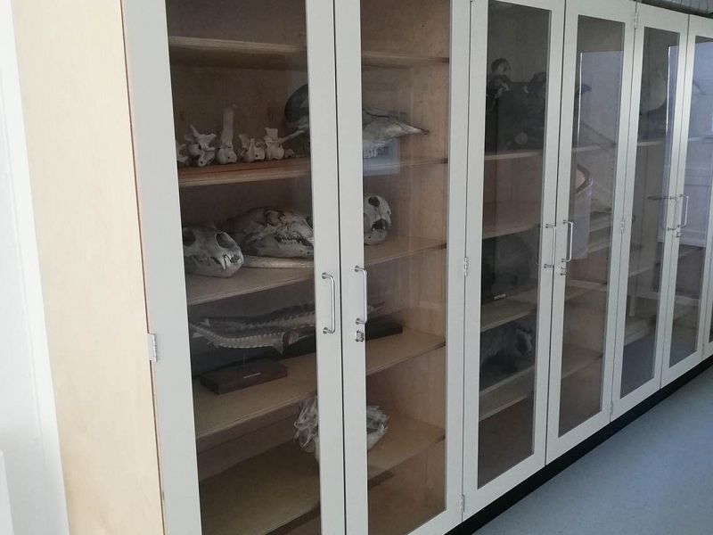 Amager-Fælled-school-cupboards-2