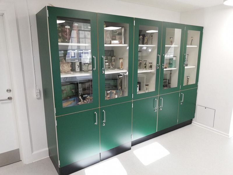 Amager-Fælled-school-science